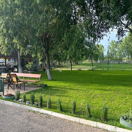 Gigios Sport&Relax Villa Bailesti Exterior photo