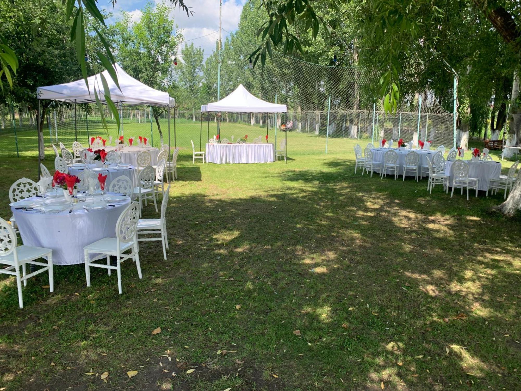 Gigios Sport&Relax Villa Bailesti Exterior photo
